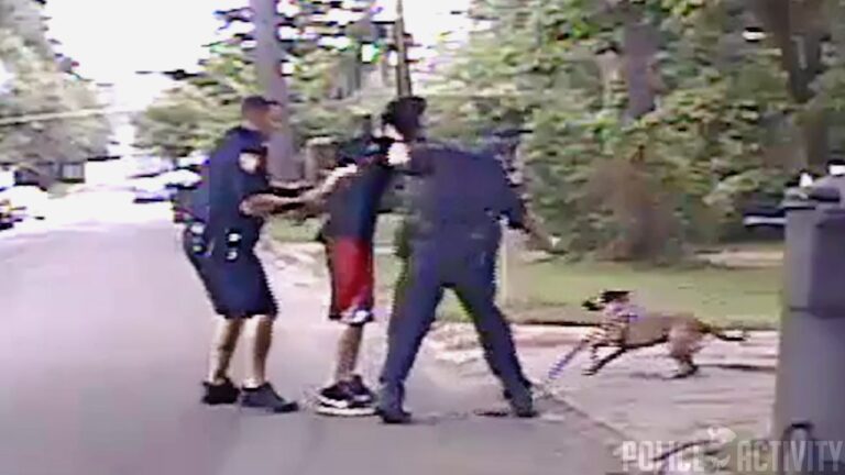 Dashcam Shows Cops Use Taser on Dog While Trying to Arrest Man